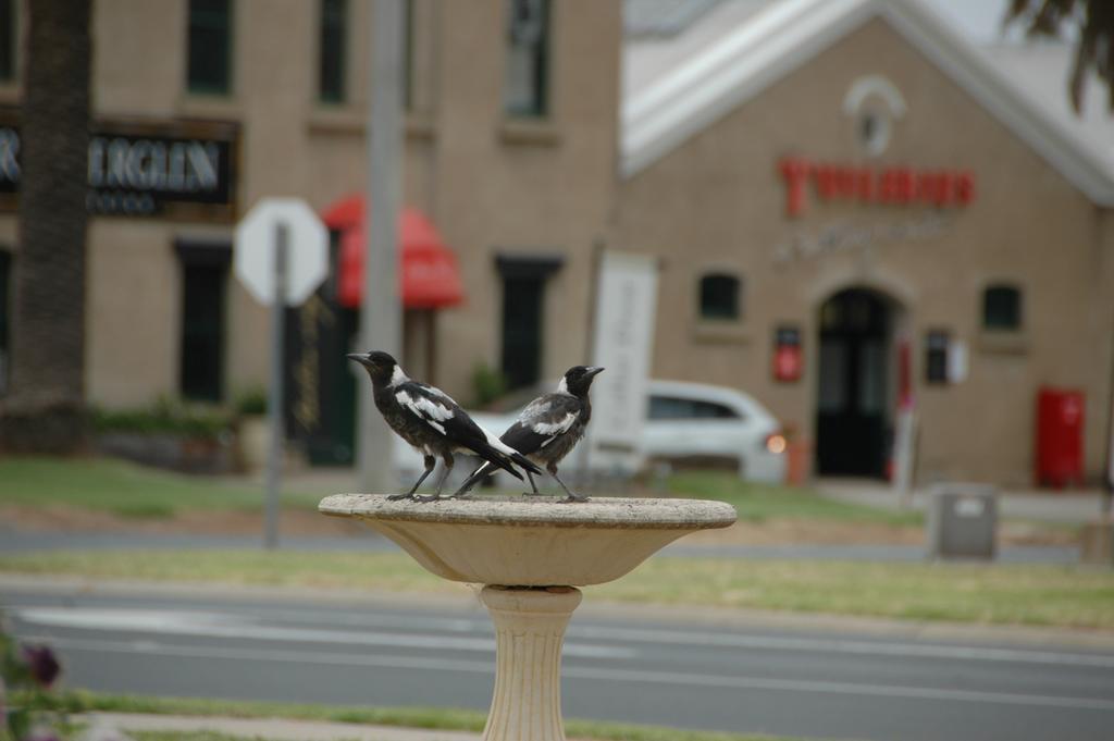 Motel Woongarra Rutherglen Exteriér fotografie