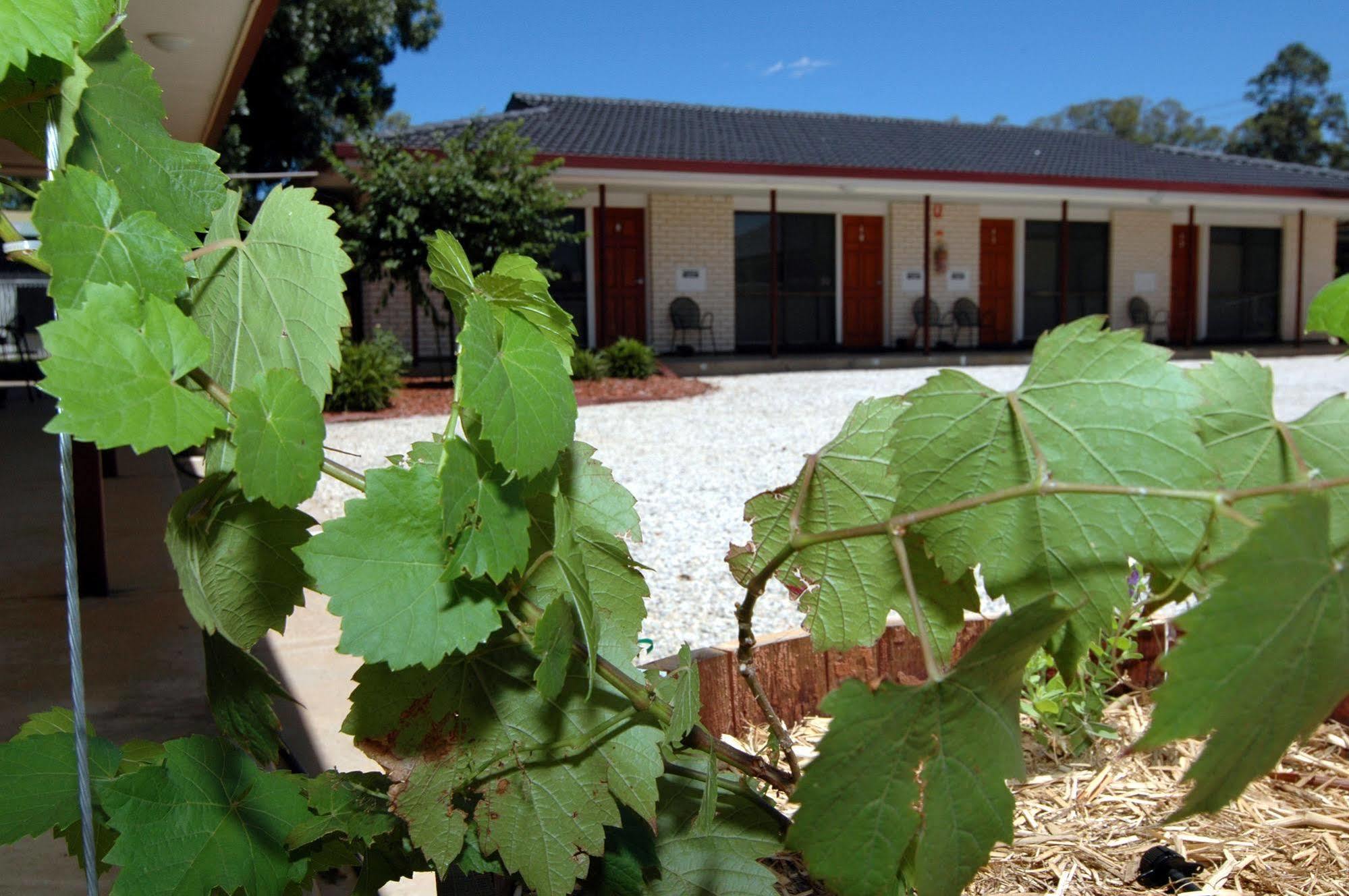 Motel Woongarra Rutherglen Exteriér fotografie